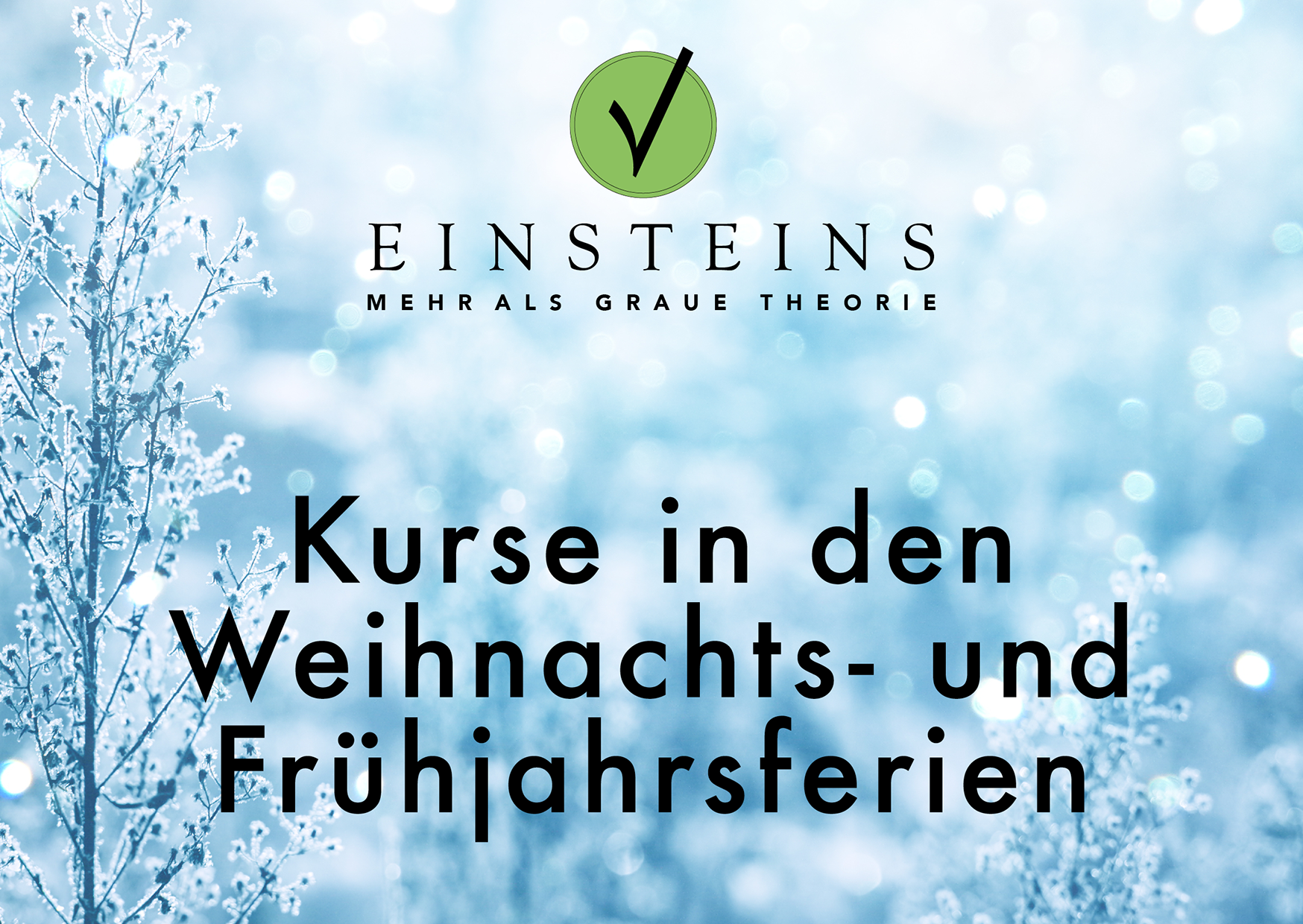Kurse in den Weihnachts- und Frühjahrsferien